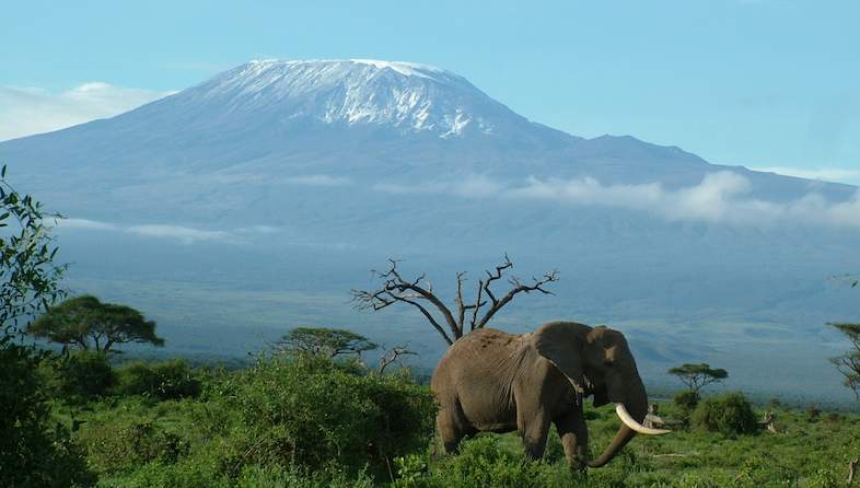 4 Days Amboseli and Tsavo West National Park Safari