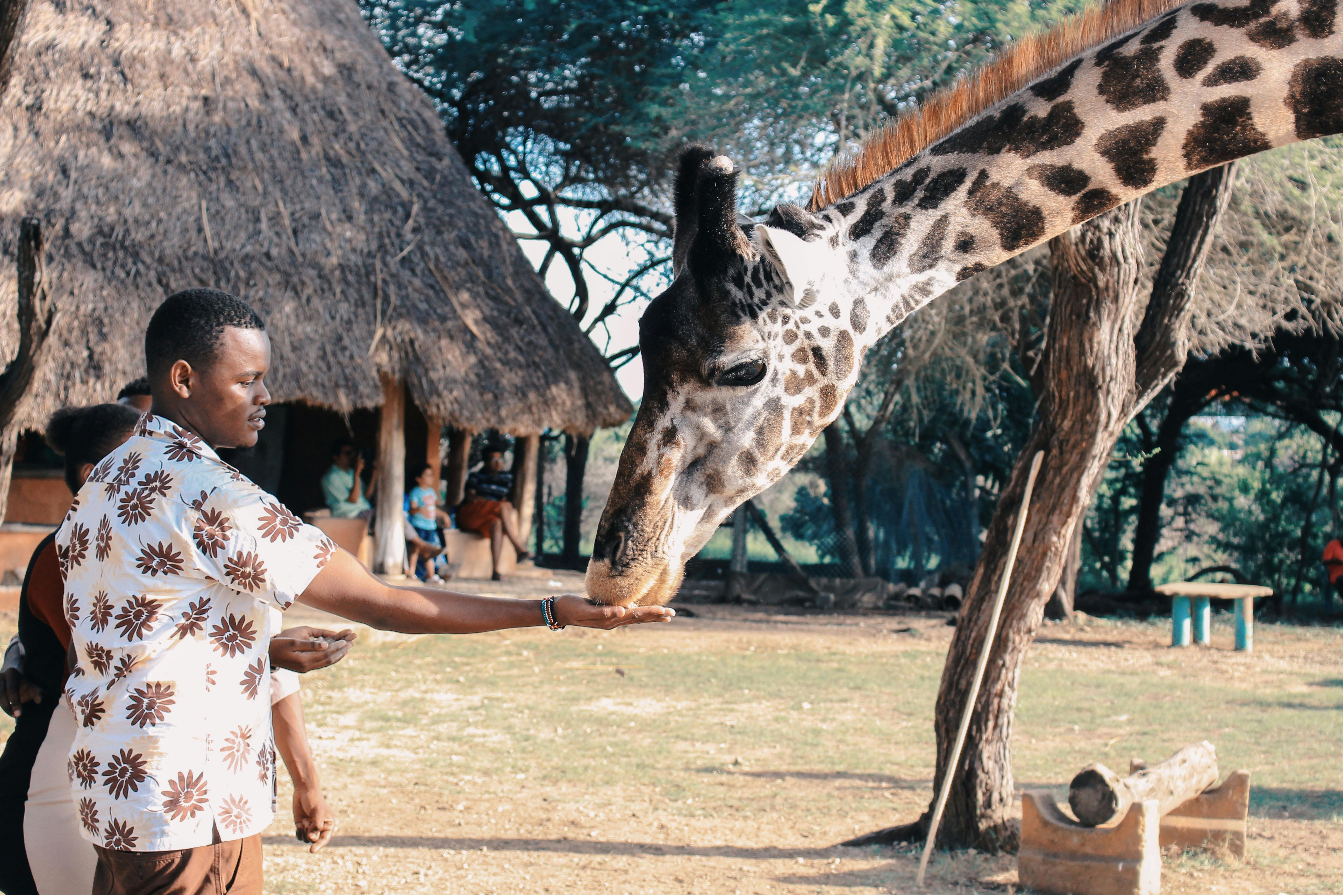 7 Day Kenya - Safari Adventure