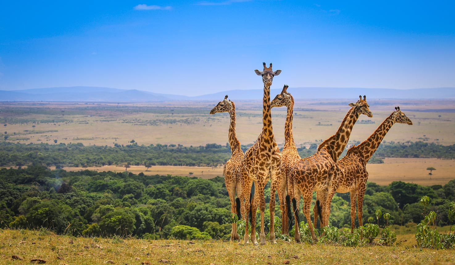 3 Days Christmas Eve in  Amboseli