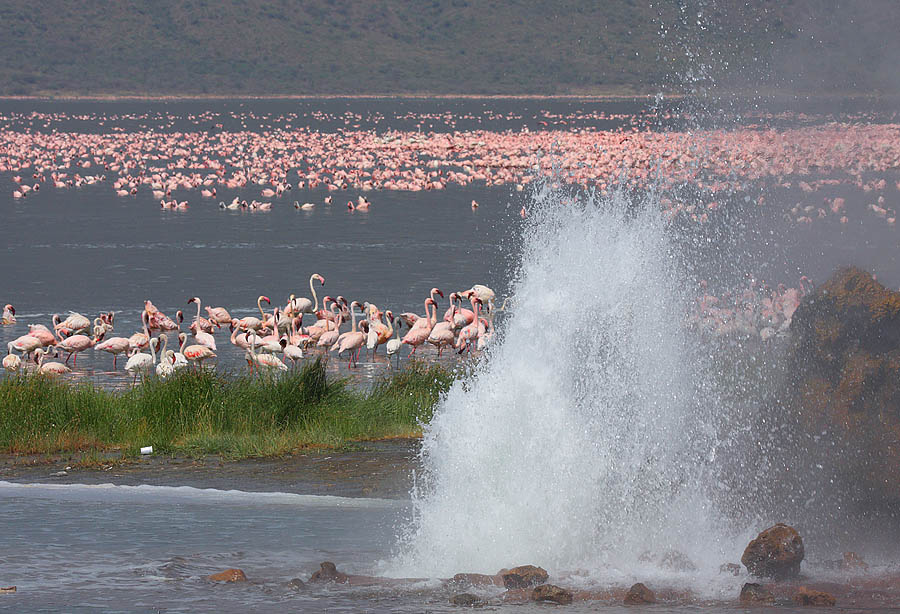 Lake Baringo Tour 