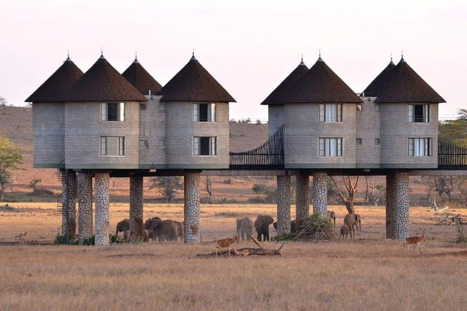 SaltLick Safari Lodge 3 Days Safari
