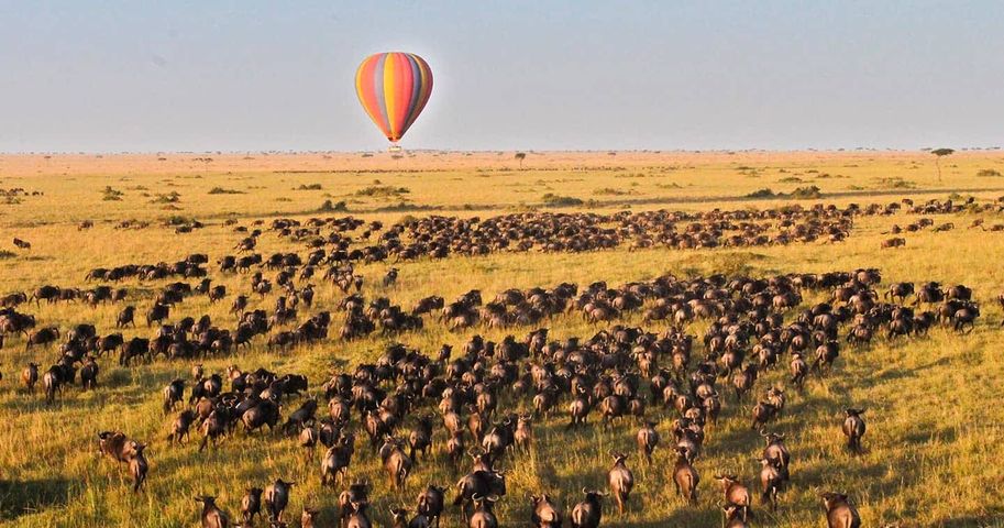  3 Days  Masai Mara Wildebeest Great Migration