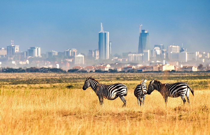 Nairobi National Park Day Trip 
