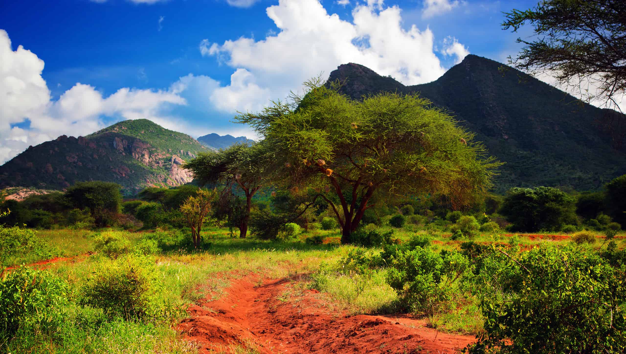 4 Days Amboseli and Tsavo West National Park Safari