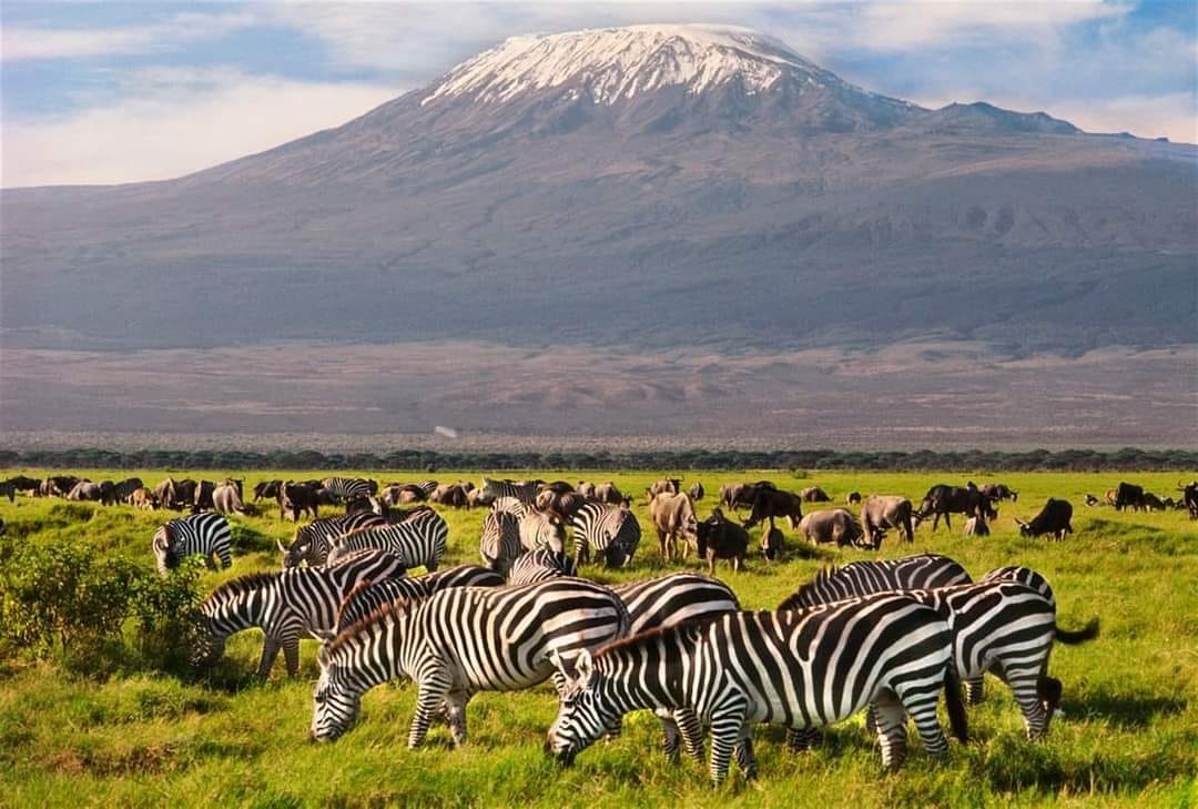 6 Days Kenyan Bush Safari 